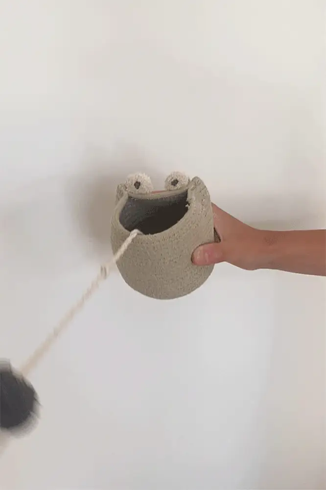 CUP & BALL TOY BABY FROG - Image 3