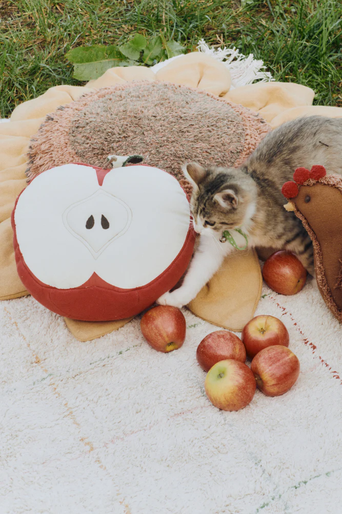 CUSHION APPLE - Image 5