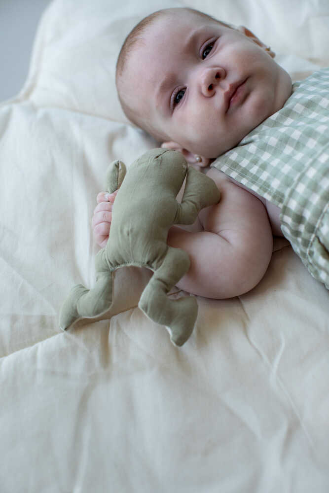 RATTLE TOY LILY POND - Image 2